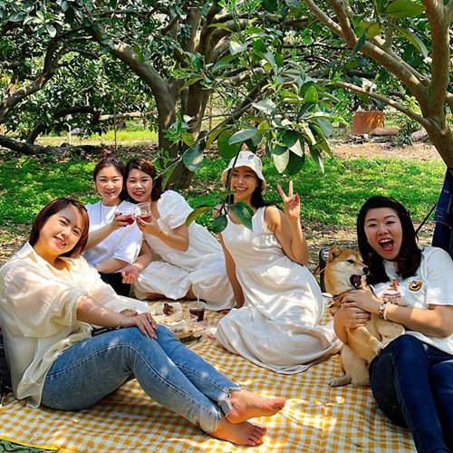 麻豆柚香市集－一起來柚子樹下野餐吧！